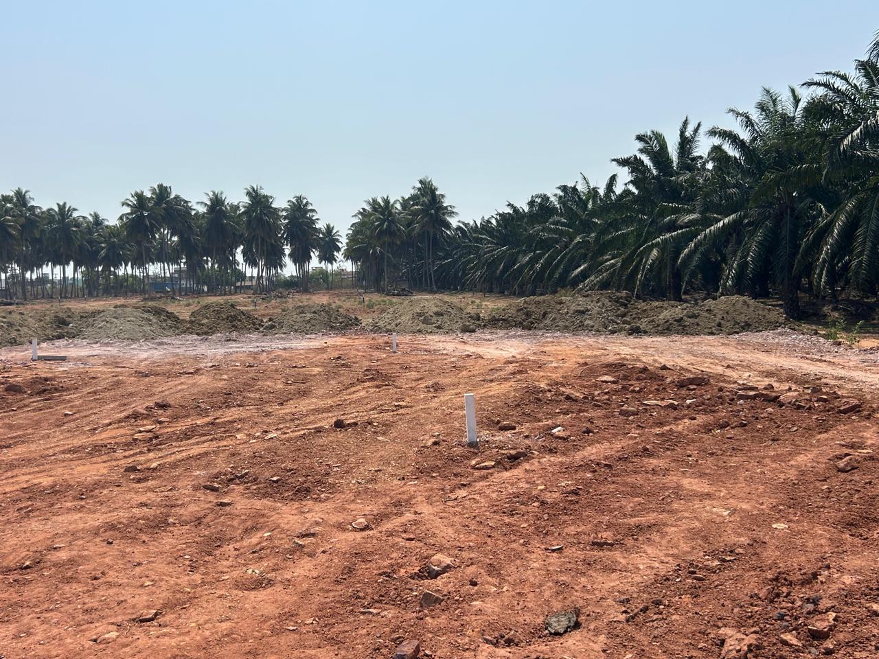 Morampudi 1